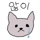 로꼬타코 이미지