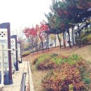 보타닉 당구장 이미지