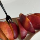 서귀포농업협동조합토평지점 | 가을 제주도 여행 2박3일 여행코스 2,3일차