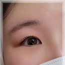 대전속눈썹미수다