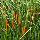 J.K 농장 이미지