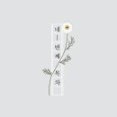 사천여자고등학교 Daum카페