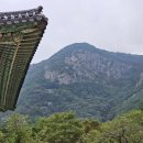 운문사사리암주차장 이미지