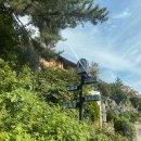 대실유치원 앞 이미지