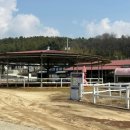 일선농장 이미지