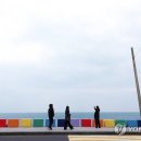 제주무지개