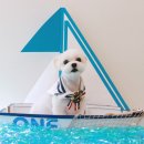 그루밍051 이미지