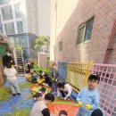 호성어린이집 이미지