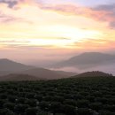 구름위의산책 이미지