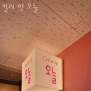 컬러 인 오늘 네이버블로그