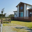 비양도 민박 이미지