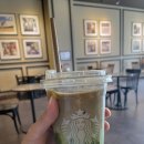 스타벅스대전만년점 이미지