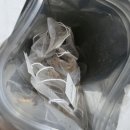 여주사랑약국 | 내돈내산 찌꺼기빼는 붓기차 차차나로티 올데이 찐후기