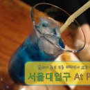 엣파니니 이미지