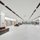 스파렉스 이미지