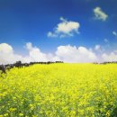 비지팅복지용구 이미지