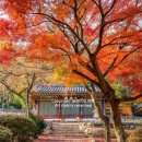 검암산(중간) 이미지