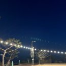 오션중학교 | 태안 오션뷰 숙소 추천 일본풍으로 리모델링한 풍경펜션 야끼도리세트 후기