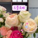 드플로페