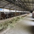 이룬농장 이미지