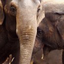 SBS 노래연습장 이미지