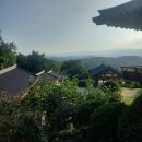 제주도유 이미지