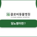 송도 클로버동물병원 네이버블로그