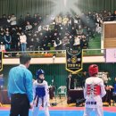 표선태권도장 이미지