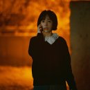 베일리헤어 - 서구 | 베일리헤어