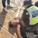 보령해양경찰서(구조대) 이미지