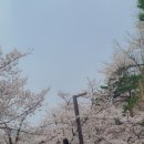 경충대로 2709번길 5 네이버블로그