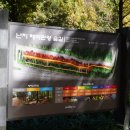 중앙로 메타세콰이아길 이미지