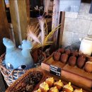 도토리(dotori) 이미지