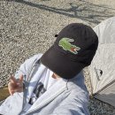 오토랜드 | 서울근교오토캠핑장 가평랜드 캠핑 앤 카라반, 꿈같던 1박 2일후기