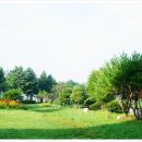 플로라모텔 이미지