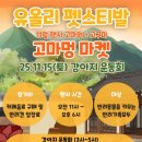 빙고 애견카페 네이버블로그