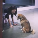정블리