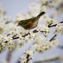경남행정사무소 이미지