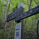 녹차밭약수터 이미지