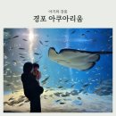 ㈜경포아쿠아리움 | 돌아기와 강릉 실내 코스, 경포 아쿠아리움 후기