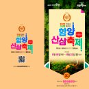 협동조합개평한옥마을사람들 | 심봤다! 함양산삼축제에서 산삼 캐고, 건강을 캐다