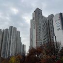 상정초등학교 이미지