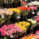 흔적으로의 여행 | W16 시드니 스냅 ‘흔적’ 촬영 후기 (+셀프 부케 준비)