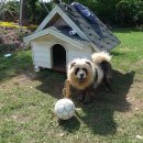 외돌개 나라 이미지