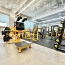 몸이 예뻐짐 이미지