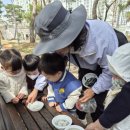 지니어스숲어린이집 이미지