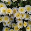 실로암사랑요양병원 이미지