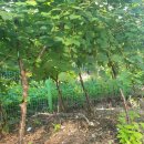 사철농장 이미지