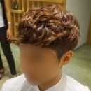 포레스타스프링 이미지