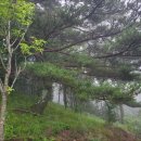 보현산자연휴양림 이미지